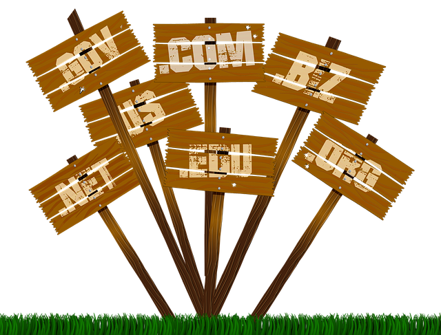 Domain Name